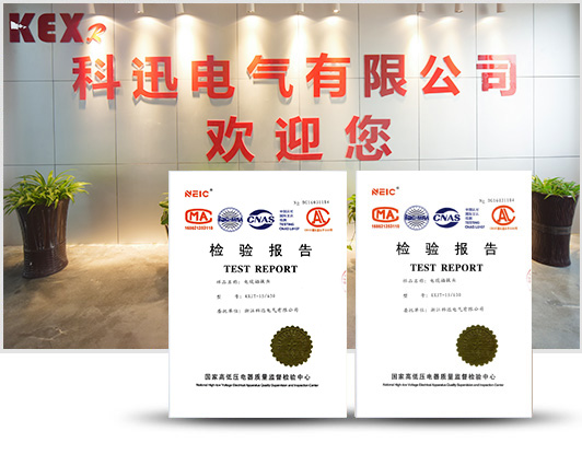 科迅電氣有限公司